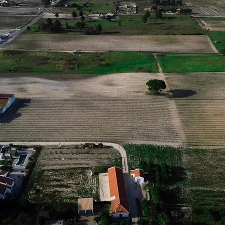 Villa Grande 5 Bedrooms Monte Maria Pratas Private Spacious